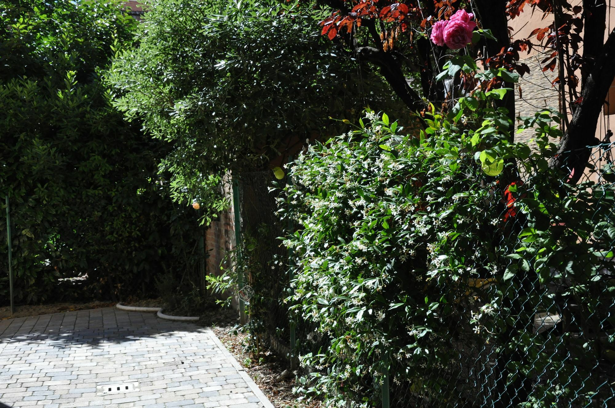 Casa Ardizzoni Affittacamere Bologna Exterior foto